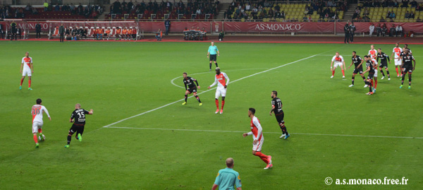 Silva longe la surface...